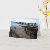 Carte Ocean Beach Peir (Fleur jaune)