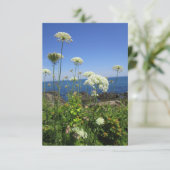 Carte Ocean Lace (Debout devant)