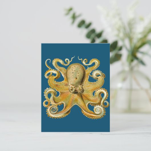 Carte Octopus - Ernst Haeckel's (Debout devant)