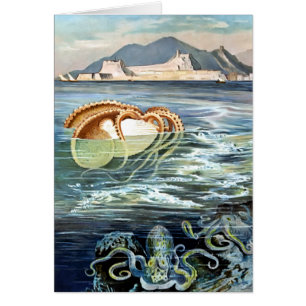Carte Octopus et calmar vintage
