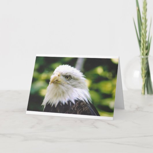 Carte Oeil d'aigle (Devant)