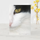 Carte OEil de chats (Fleur jaune)