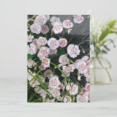 Carte Oeillets blancs et rouges (Debout devant)