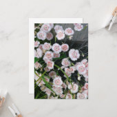 Carte Oeillets blancs et rouges (Devant/Arrière en situation)