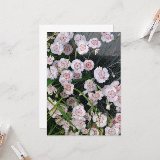 Carte Oeillets blancs et rouges (Devant/Arrière en situation)