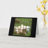 Carte Oeufs (Fleur jaune)