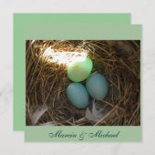 Carte OEufs de bleuet trois fois (Devant / Derrière)