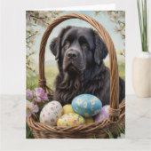 Carte Oeufs de Pâques de Terre-Neuve (Devant)