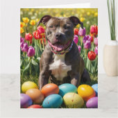 Carte Œufs de Pâques Pitbull (Devant)