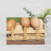 Carte oeufs de poulets naturels par pays (Debout devant)