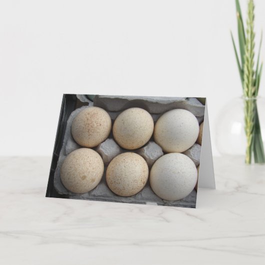 Carte Oeufs de Turquie (Devant)