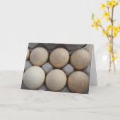 Carte Oeufs de Turquie (Fleur jaune)