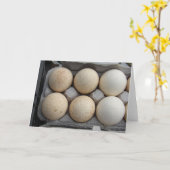 Carte Oeufs de Turquie (Fleur jaune)