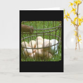 Carte Oeufs en toutes occasions (Fleur jaune)