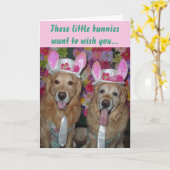 Carte OEufs Golden Retriever spécial Pâques (Fleur jaune)