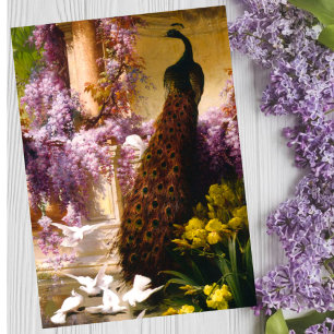 Carte Œuvre d'art de jardin Paon Vintage   Wisteria Roma
