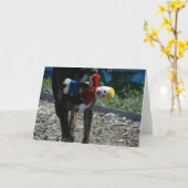 Carte Oh-Aucun M. Bill (Fleur jaune)