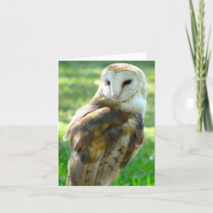 Carte Oh blanc de hibou