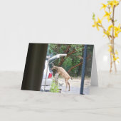 Carte Oh Deer ! (Fleur jaune)