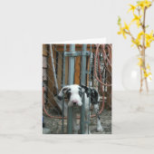 Carte "Oh espèces !" Grand Chiot Dane (Fleur jaune)