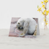 Carte Oh je, oh mon (Fleur jaune)