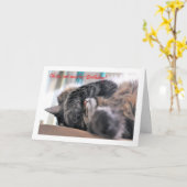 Carte Oh non, pas un autre anniversaire ! Chat Joyeux an (Fleur jaune)