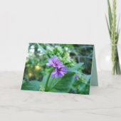 Carte Oh si pourpre (Devant)