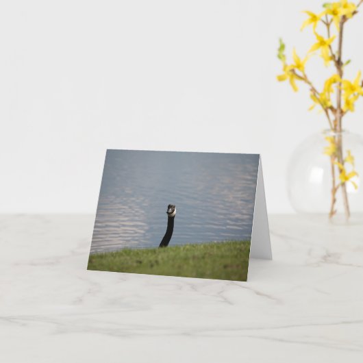 Carte Oie (Fleur jaune)