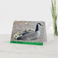 Oie avec bébé oie anniversaire