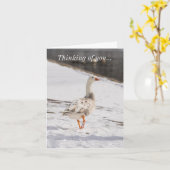 Carte Oie De Neige Commence À Penser À Vous (Fleur jaune)