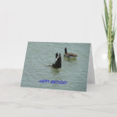 Carte Oie du bas, anniversaire (Devant)