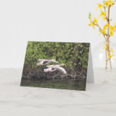 Carte Oie grise (Fleur jaune)