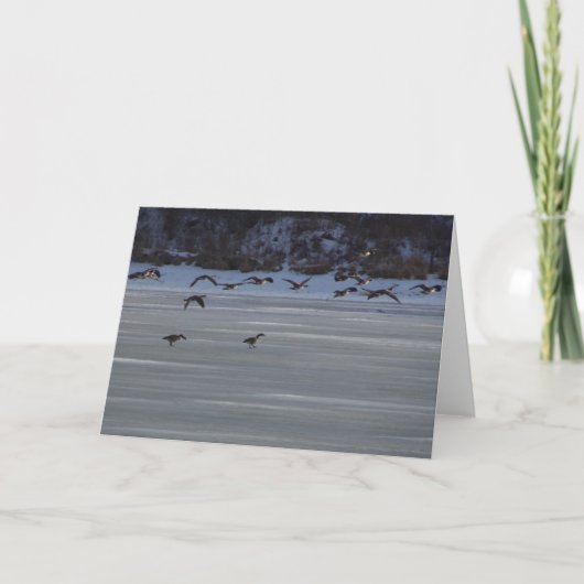 Carte Oie volante basse (Devant)