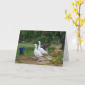 Carte Oies dans le jardin - Vide (Fleur jaune)