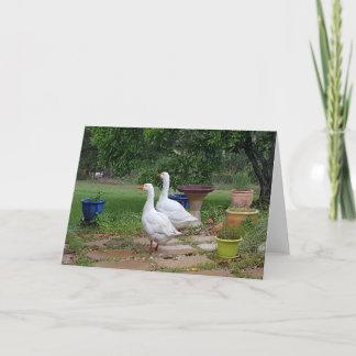 Carte Oies dans le jardin - Vide