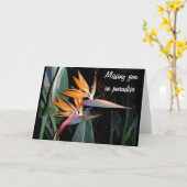 Carte Oiseau (Fleur jaune)