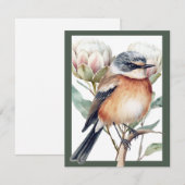 Carte Oiseau africain de Stonechat (Devant / Derrière)