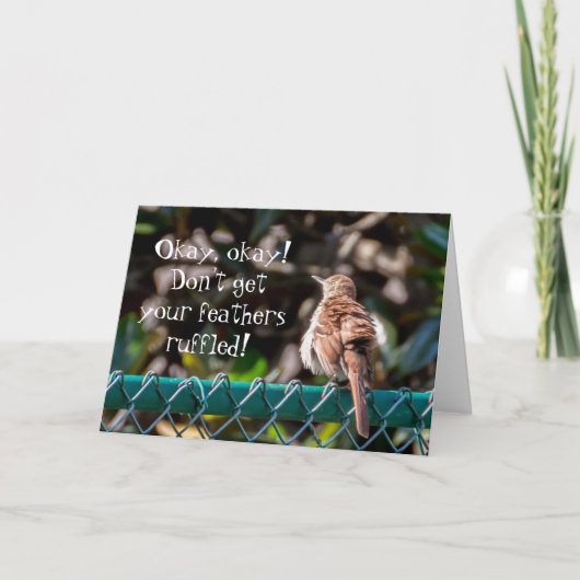 Carte Oiseau Aux Plumes Rouffées (Devant)