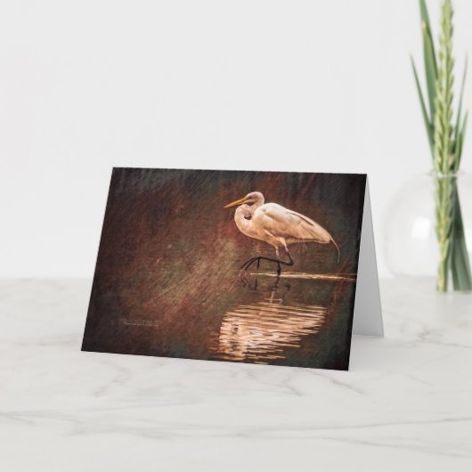 Carte Oiseau blanc d'aigrettes dans l'eau (Devant)