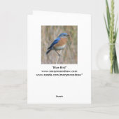 Carte "Oiseau bleu " (Dos)