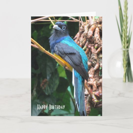 Carte Oiseau bleu avec longue queue (Devant)