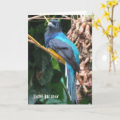 Carte Oiseau bleu avec longue queue (Fleur jaune)