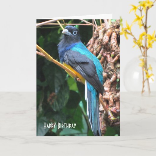 Carte Oiseau bleu avec longue queue (Fleur jaune)