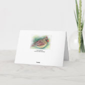 Carte Oiseau cardinal féminin en Pine Pastel Art Noël (Dos)