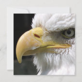 CARTE OISEAU D'AGLE (Devant)