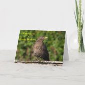 Carte Oiseau d'anniversaire (Devant)