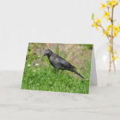 Carte Oiseau dans l'herbe Penser à vous (Fleur jaune)
