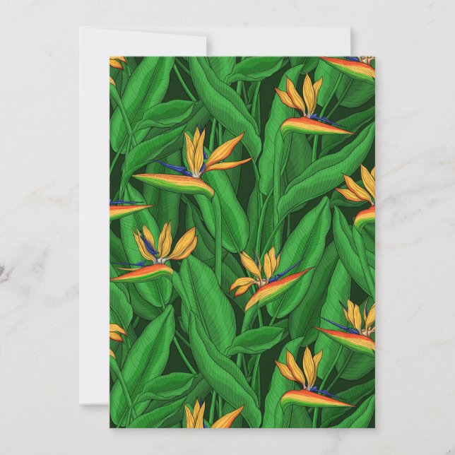 Carte Oiseau de nuit du jardin du paradis (Devant)