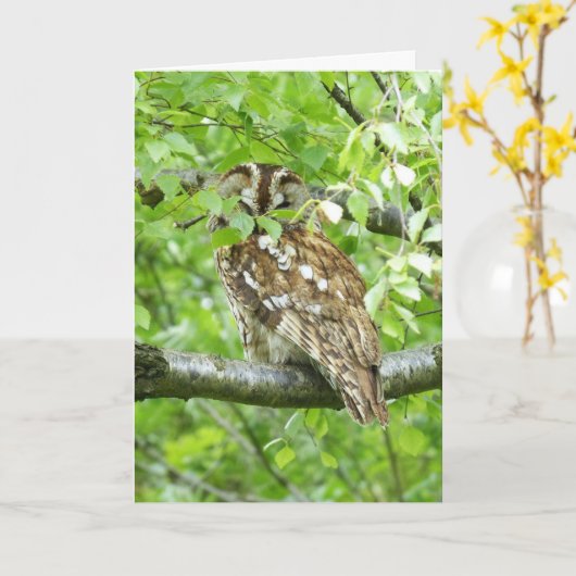 Carte Oiseau de Tawny (Fleur jaune)
