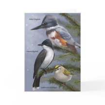 Carte Oiseau de Vacances 'We Three Kings'